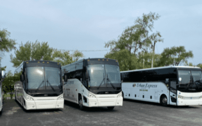 How a Charter Bus Company Can Help You Plan a Successful Family Reunion Transportation